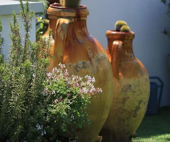 Apartment Cattedralflats -comfort, Stile E Vista Sulla Cattedrale *