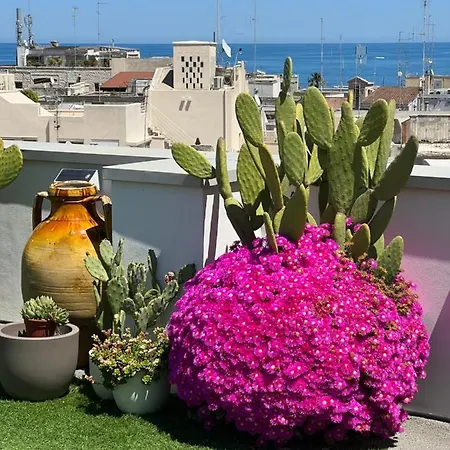 Apartment Cattedralflats -comfort, Stile E Vista Sulla Cattedrale *